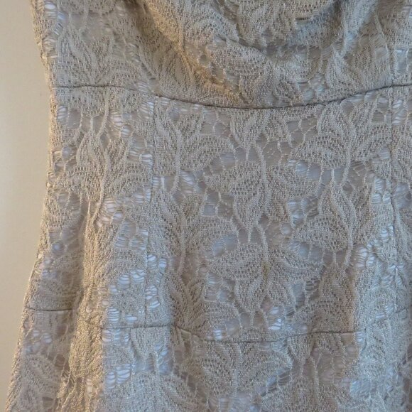 BLACK HALO Jackie O Chantilly Lace Light Taupe Sheath Mini Dress - Size US 2 - Picture 11 of 16